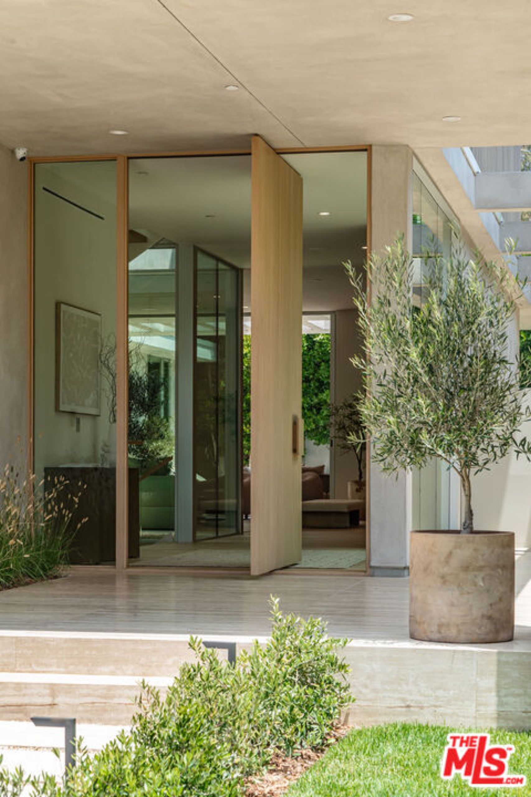 Oak pivot entry door framed by olive trees